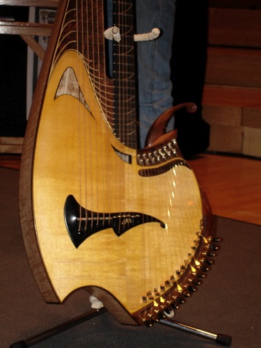 Fred's Harp Guitar